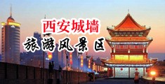 大鸡巴操胖女人操逼操逼中国陕西-西安城墙旅游风景区